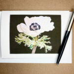 Anemone flower